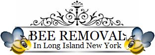 Long Island Bee Removal | Bees | Bumblebee | Bumble Bee | Hive | Nest | New York | Remove